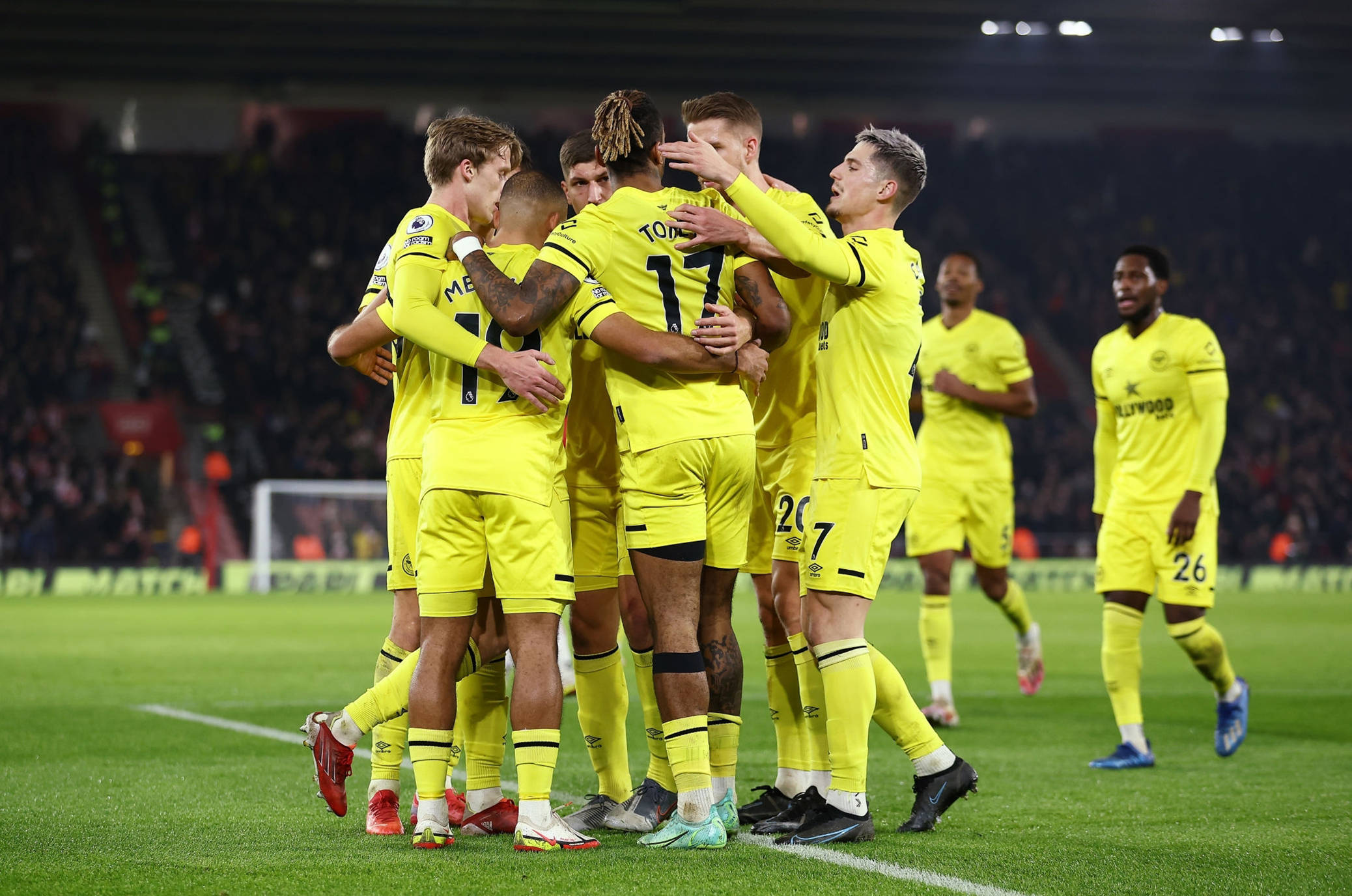 它不仅展示 它不仅展示