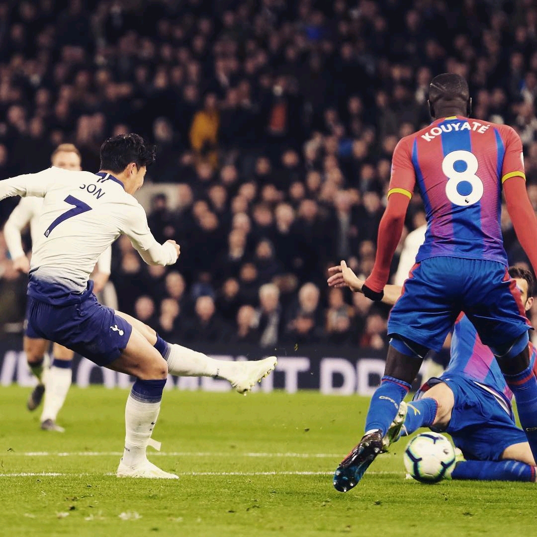 从容的气质 从容的气质